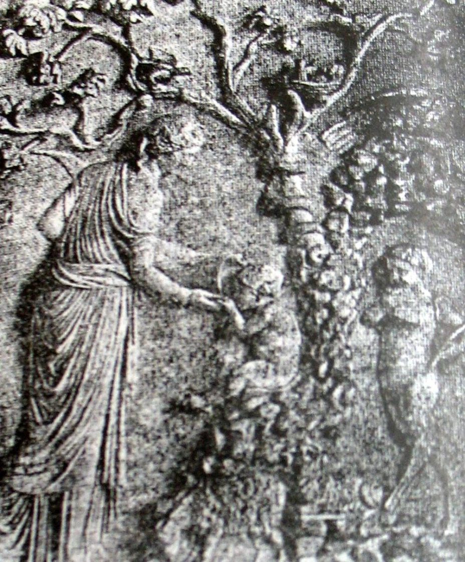 Зборокоренување на зборот Адрастеја Зборокоренување на зборот Адрастеја