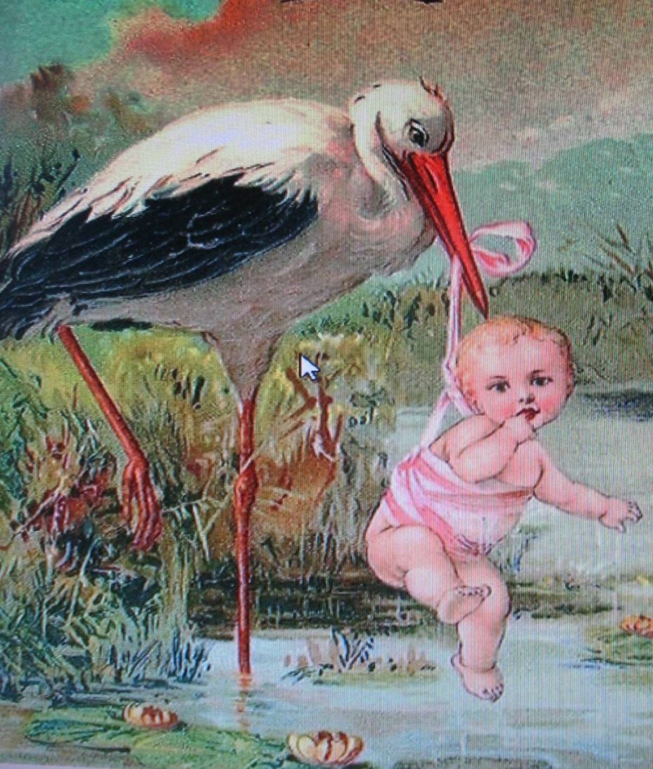 Зборокоренување на зборот Родос Зборокоренување на зборот Родос