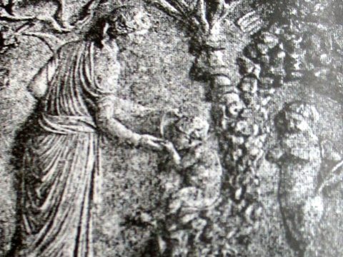 Зборокоренување на зборот Адрастеја Зборокоренување на зборот Адрастеја