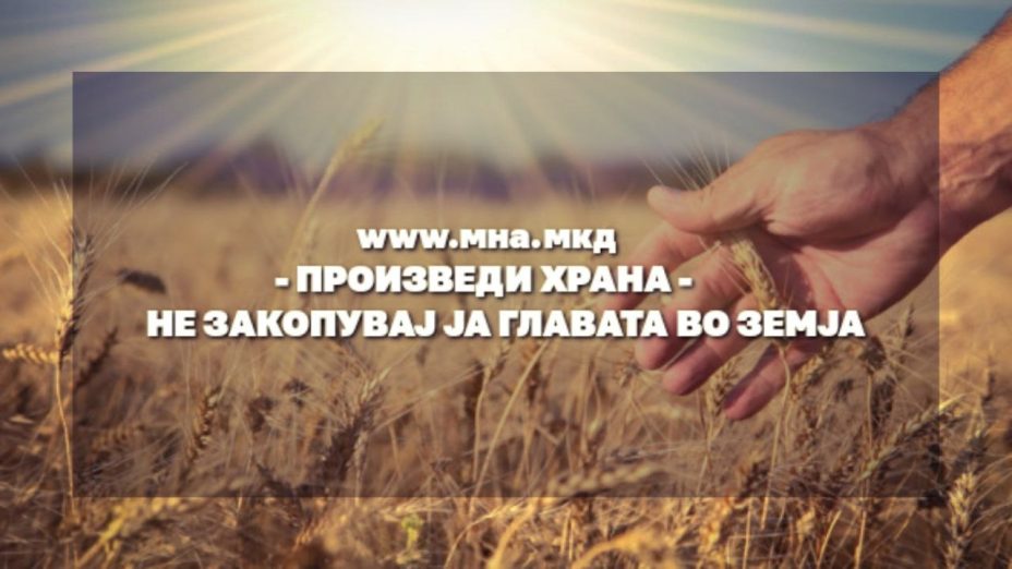 НЕ ЗАКОПУВАЈ ЈА ГЛАВАТА В ПЕСОК! НЕ ЗАКОПУВАЈ ЈА ГЛАВАТА В ПЕСОК!