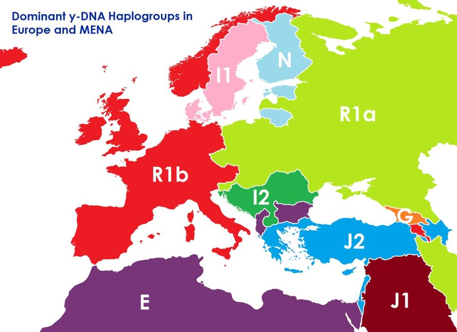 2020~_Превладувачки y-ДНА халогрупи во Европа и MENA