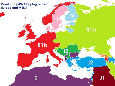2020~_Превладувачки y-ДНА халогрупи во Европа и MENA